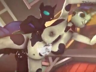 臟 夾 同 孕 cow