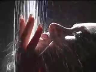 Nóng, thô người lớn video với vải mõng mynx