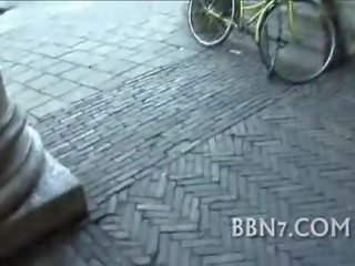 性 引起 一对 介绍